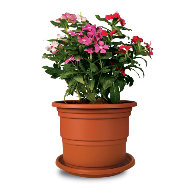 Maceta Roble # 1 C/base